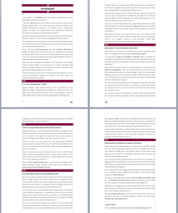 The book's Afterword